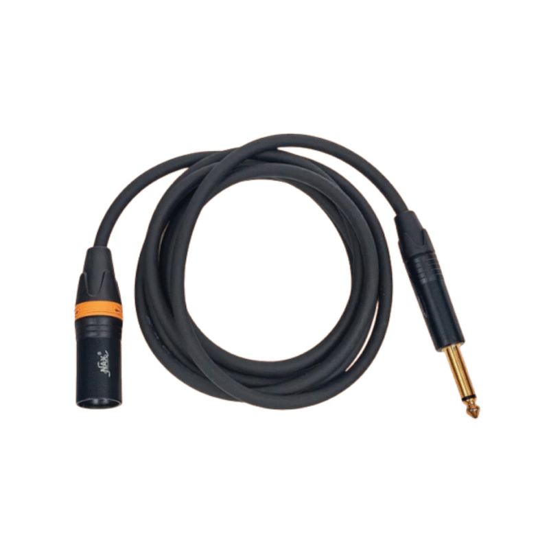 XLR-P38 ( 2 MTR )